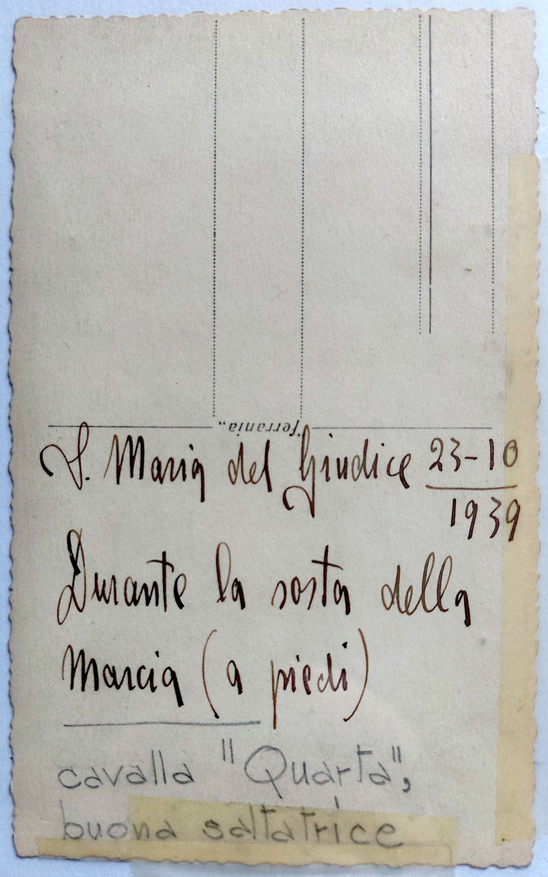 Il retro della fotografia, con la scritta a penna: cavalla «Quarta», buona saltatrice, 23-10-1939